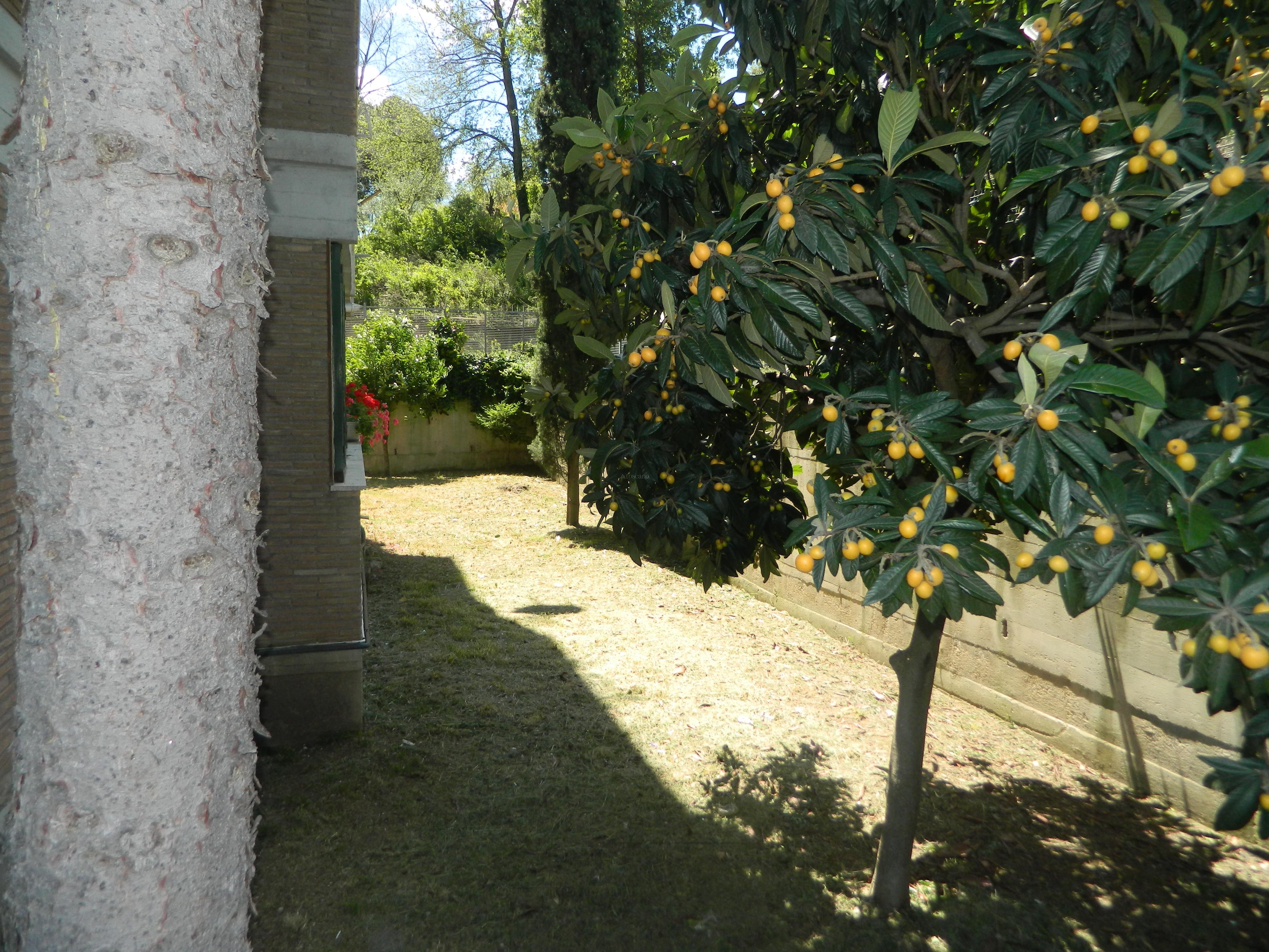 Casa a roma in via dei martuzzi (zona portuense, magliana)