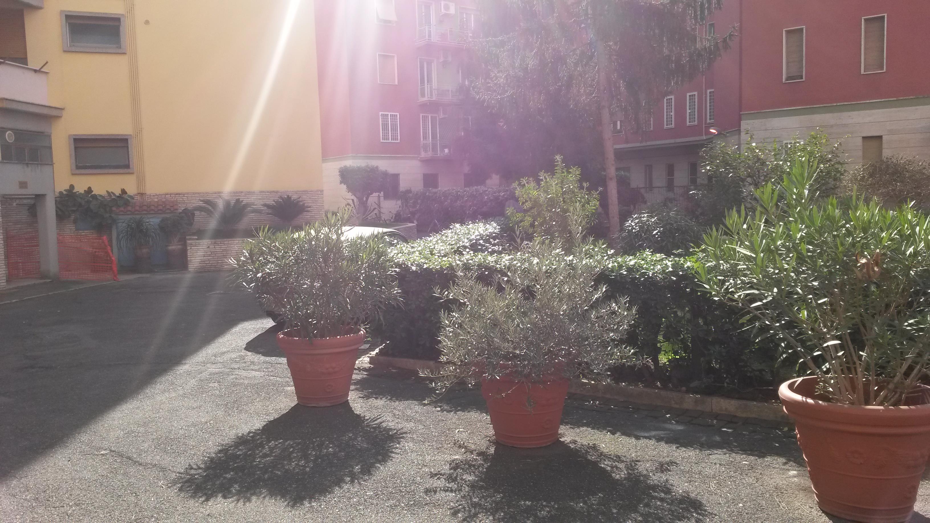 Casa a roma in via francesco orazio da pennabilli (zona garbatella) Soggiorno 9 mq